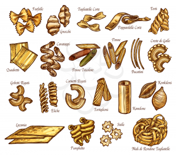Italian pasta sorts or types sketch icons. Vector isolated set of farfalle, gnocchi or tagliatelle and papardelle, traditional Italy cuisine cuisine penne, cavatappi or bucatini and konkiloni
