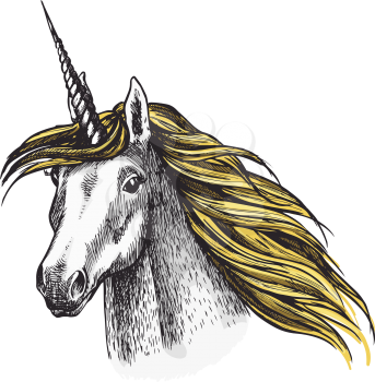Unicorn head color sketch icon of fairy tale mystic horse with horn. Vector magic unicorn horse muzzle with waving mane for equine sport or equestrian races and contest exhibition design