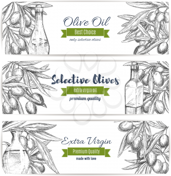 Olive oil and olives vector sketch banners. Olive-tree branches with green or black olive fruits for extra virgin cooking or salad oil for healthy italian cuisine design or bottle product label