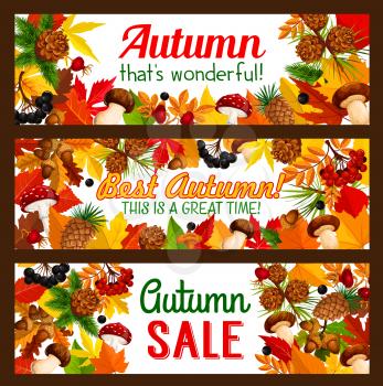 Autumn sale offer banner template set. Fall season discount promotion flyer with fallen leaf and forest nature frame of september maple foliage, mushroom, acorn, rowan and briar berry, pine cone