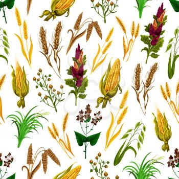 Grains and cereals seamless pattern. Vector background of corn, wheat and barley harvest or rye and oats millet for agriculture and food production or organic farm grown food