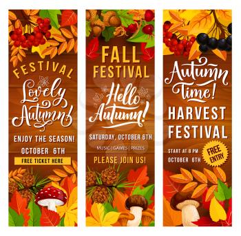 Autumn harvest festival invitation banner set of fall season holiday template. Fallen leaf poster on wooden background with border of orange and red foliage of maple and oak, mushroom, acorn and berry