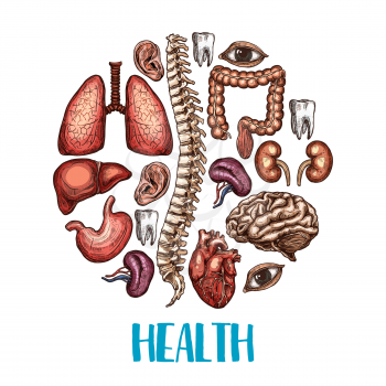 Health poster of human body organs. Vector color sketch design of heart, brain or lungs and kidney or bladder organ, eye, tooth or esophagus and spleen icon for medical concept or therapy hospital