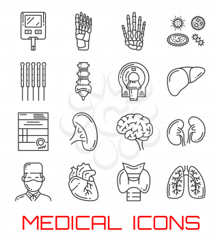 Medical icons with human organs and doctor. Heart, lung and kidney, brain, liver and thyroid gland, hand, foot and spine skeleton bone, blood sugar test and MRT thin line symbols of health care design