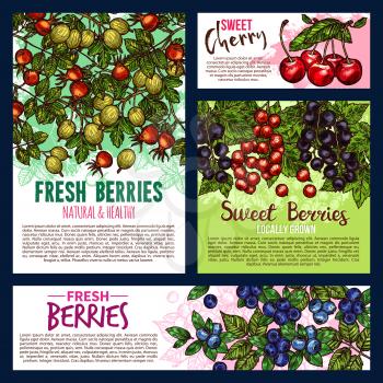 Fruit and berry banners of fresh farm food product. Sweet cherry, blueberry, red and black currant, gooseberry and briar fruit branch with green leaf sketch posters for natural juice and jam design