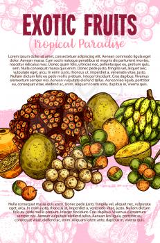 Exotic fruits sketch poster with fresh tropical berries of palm tree. Pandan, cherimoya and mamoncillo, membangan, mombin, longkong and naranjilla fruits for natural juice and fruity dessert design