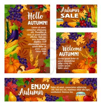 Autumn harvest holiday poster template. Autumn maple leaf, Thanksgiving pumpkin and corn vegetable, apple fruit, mushroom, grapes, wheat and honey jar on wooden background for greeting card design
