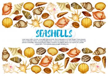 Seashell of marine mollusc banner with border of clam, snail, chiton and tusk shell. Scallop, cockle and turret shell, fighting conch, king crown and pear whelk sea beach mollusk poster design