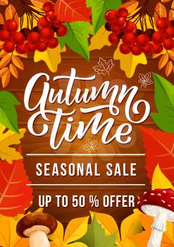 Autumn sale promo banner for fall season discount offer. Orange leaf frame border with maple foliage, forest mushroom and rowan fruit branch on wooden background for shop flyer design
