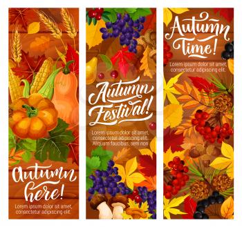 Autumn festival invitation banners for fall season harvest celebration. Orange fallen leaves on wooden background with pumpkin vegetable, fruit and forest mushroom, wheat and acorn flyers design