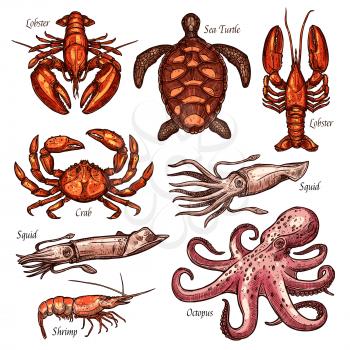 Seafood, shellfish and marine animals sketches for fishing sport and restaurant menu design. Crab, lobster and squid, octopus, shrimp and sea turtle isolated icons