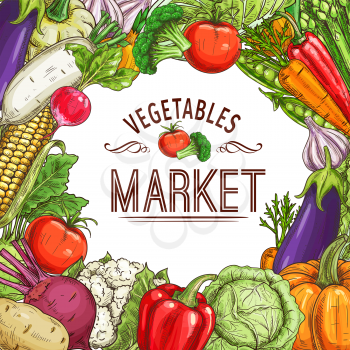 Vegetable market poster with frame of fresh farm veggies sketch. Tomato, carrot and chili pepper, garlic, cabbage and pea, radish, broccoli and eggplant, pumpkin, cauliflower and beet, potato and corn