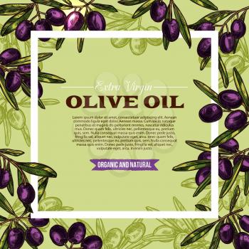 Black olive fruit frame for extra virgin oil label template. Olive branch with green leaf and fresh fruit sketch poster with text layout in center for organic natural food packaging design