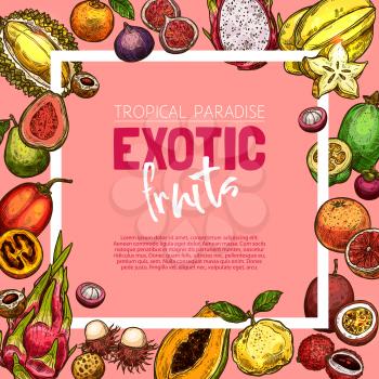 Exotic fruit and berry sketch poster. Tropical fruit frame of orange, papaya and grapefruit, durian, feijoa and lychee, fig, dragon and passion fruit, carambola, rambutan and guava for food design