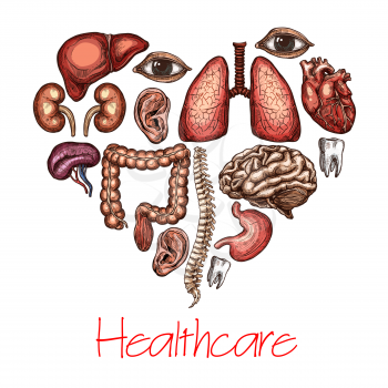 Heart health symbol composed of human organ sketch. Brain, lungs and liver, kidney, stomach and intestine, spine, tooth, eye and ear in a shape of heart for healthcare and medicine themes design
