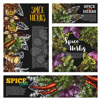 Spice and herb blackboard banner set with natural food condiment chalk sketch. Chili pepper, mint and basil, rosemary, thyme and ginger, cinnamon, vanilla and star anise, dill, oregano and bay leaf