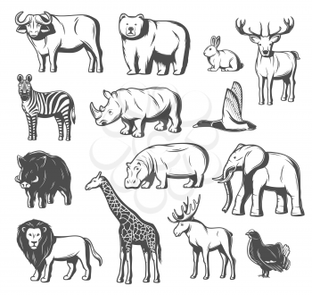 Animals and birds icons for zoo or hunt design. Vector isolated wild bear, buffalo ox or elk and deer, aper hog, pheasant or blackcock bird and African elephant, giraffe or zebra and lion