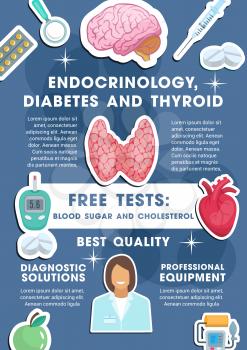 Endocrinology, diabetes and thyroid medical poster for healthcare center or free tests diagnostics. Vector design of doctor with pills or tonometer and glucose meter, organs heart and brain
