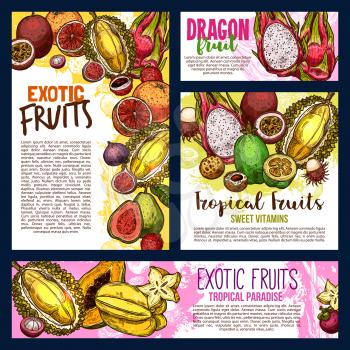 Exotic fruits sketch banners and posters of durian, papaya or mango and mangosteen. Vector harvest of tropical pitaya dragon fruit or passion fruit maracuja and kiwi with banana