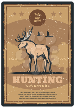 Hunting adventure retro grunge poster for hunter sport club promotion. Wild deer, elk or moose animal vintage banner with forest tree and star for hunting open season or hunter camp design