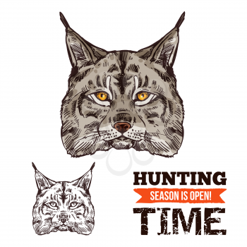 Lynx animal sketch for hunting sport open season. Wild cat or bobcat predator head isolated icon, wildcat with gray fur and black tufts on ears for zoo mascot, hunter club or hunting camp design