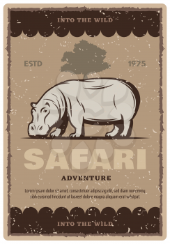 African safari vintage grunge banner for adventure tour or hunting sport template. Wild hippo animal and savannah tree landscape retro poster design, decorated with old scratched frame
