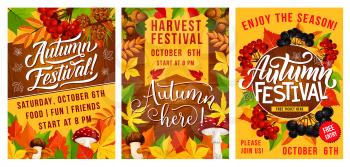 Autumn harvest festival banners. Fall season leaf and mushroom with viburnum and cone, acorn and blueberry. Seasonal holiday invitation or announcement vector, yellow orange leaves and rowan berry