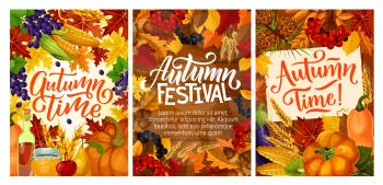 Autumn harvest festival posters with fall leaves. Maple syrup and honey, grapes and cranberry, acorn and pear, mushroom and corn, pumpkin or squash and currant, wheat spikes and viburnum vector