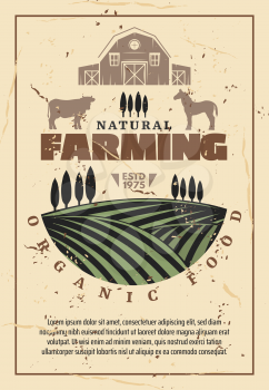Organic farming retro poster with natural farm food, agriculture theme design. Green field with growth, barn, cow and horse animal, farmer market vintage template