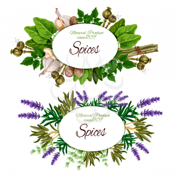Spice label with culinary herb, vegetable seasoning and food condiment. Rosemary, parsley and dill, nutmeg, garlic and lemongrass, sage, sorrel and marjoram, lavender flower and poppy seed. Vector illustration