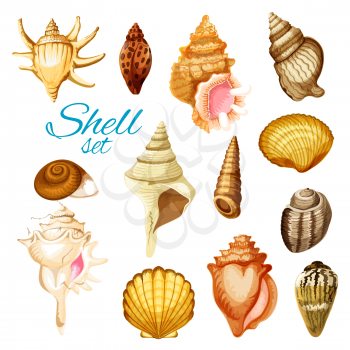 Seashell, sea animals and ocean beach mollusk. Scallop, snail and clam, cockle, turret shell, king crown and chiton. Isolated cartoon objects. Exotic summer, vacation travel themes design