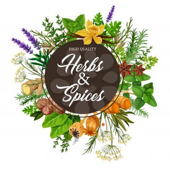 Herb and spice frame with spicy plants, food packaging label. Basil, mint and rosemary, ginger, vanilla and anise, thyme, nutmeg and dill, parsley, sorrel, turmeric and lavender seasoning