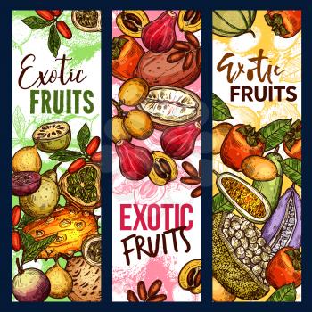 Exotic tropical fruits sketch banners. Vector design of kiwano, bael pear or star and mammee apple and loquat, persimmon and champakka or akebia fruit with marang and gandaria