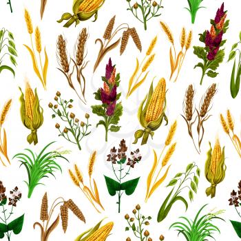 Grains and cereals pattern background. Vector seamless of corn, wheat, rye ear spikes and barley harvest, buckwheat and oats, rice and millet. Agriculture and food production or organic food theme