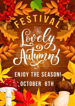 Autumn festival poster for 6 October fall time holiday or celebration Vector invitation design of autumn rowan berry harvest, amanita or chanterelle mushrooms with maple leaf on wooden background