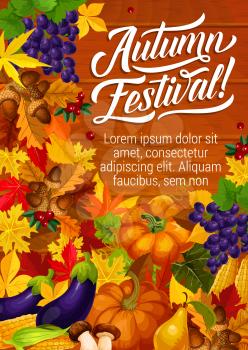 Autumn festival poster for seasonal holidays or celebration invitation. Vector autumn harvest of leaf fall with pumpkin or corn and eggplant, grape fruit and cranberry berry on wooden background