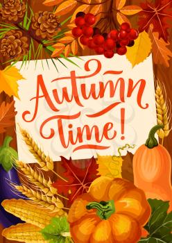 Autumn Time quote poster for harvest reap season and fall holidays celebration. Vector autumn foliage of maple leaf, pumpkin or eggplant and corn vegetables with wheat, pine cones and rowan berries
