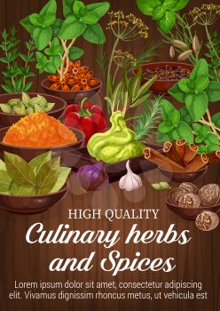 Culinary herbs and natural spices, food condiment and seasoning on wooden background. Green basil, pepper and rosemary, cinnamon, star anise and nutmeg, thyme, cardamom and garlic. Vector ilustration
