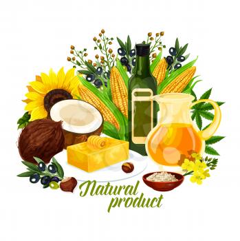 Natural oil products, organic plants. Golden corn and coconut, sunflower and butter, colza oil and rapeseed flowers, extra virgin black and green olives and peanut, flax linseed vector