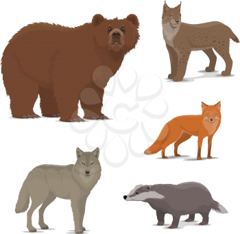 Wild animals vector icons. Bear and lynx, fox and badger, wolf. Bobcat or wildcat and brown bear, predator and brock. Forests mammals isolated. Zoo or hunting sport theme vector