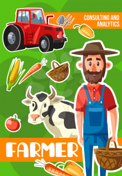 Farmer on farm, vector cartoon design. Agriculture and farming profession, bearded man with tractor, vegetable harvest, cow cattle and wicker basket, corn and carrot, tomato and bell pepper