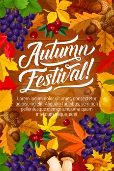 Autumn festival or fall season fest poster with harvest and foliage on wooden background. Vector berries, mushroom or grapes and acorns in maple, oak or rowan leaf design