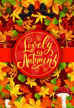 Autumn season poster for fall holidays or sale and festival. Vector design of autumn maple, rowan and maple leaf with oak acorn and forest berry or amanita mushroom