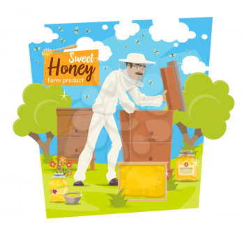 Beekeeper at apiary taking honey from hive, vector beekeeping. Vector cartoon beekeeper man in protective outfit with honeycomb or honey jar and bees swarm