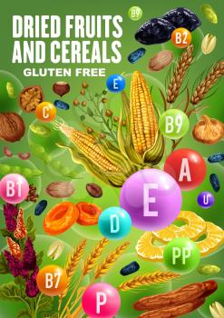 Dried fruits, nuts, beans and cereals rich of vitamins and minerals. Vector date, raisins and fig, prune, banana and pineapple, walnut, apricot and hazelnut, wheat, pistachio, buckwheat, corn and rye