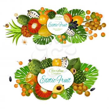 Exotic fruits vector posters with tropical orange, cherimoya and sliced soursop, pu hala, tangerine and bergamot, physalis, longkong and lucuma, naranjilla, jambolan berries and pandan. Food theme