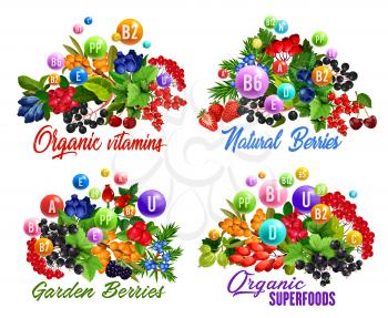 Natural vitamins in garden and wild berries vector icons. Strawberry, cherry and blackberry fruit branches, blueberry, red and black currant, cranberry, rowanberry and briar, juniper and honeysuckle