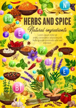 Vitamins and minerals in spices and herbs. Vector chili pepper, ginger and garlic, vanilla, basil and cinnamon, star anise, dill and turmeric, saffron, bay leaf and celery health benefits design