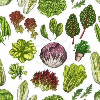 Salad leaves and culinary herbs seamless pattern, vegetable greens vector background. Lettuce, spinach and arugula, iceberg, radicchio and romaine, endive, watercress and sorrel green leaves backdrop
