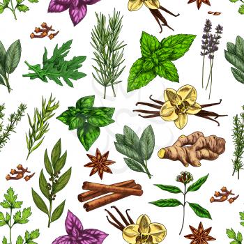 Spices and herbs seamless pattern background with food seasonings and condiments sketches. Vector parsley, mint and rosemary, vanilla, cinnamon and ginger, basil, thyme and star anise, bay leaf, clove
